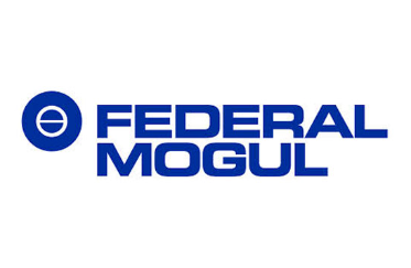 Federal Mogul Federal Mogul